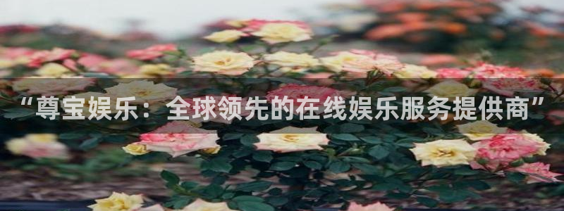 超凡国际官网：“尊宝娱乐：全球领先的在线娱乐服务提供商”