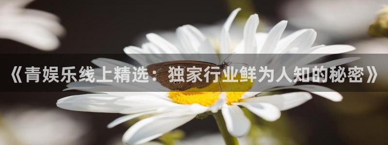 超凡国际下载app：《青娱乐线上精选：独家行业鲜为人知的秘密》