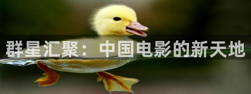 超凡国际官网：群星汇聚：中国电影的新天地