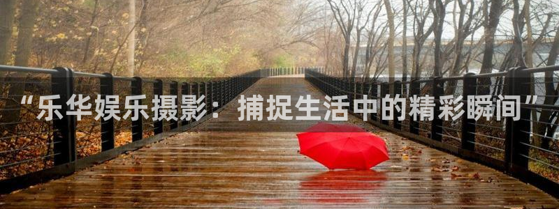 超凡国际下载：“乐华娱乐摄影：捕捉生活中的精彩瞬间”