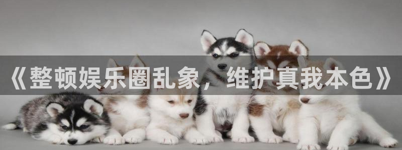 超凡国际下载app：《整顿娱乐圈乱象，维护真我本色》