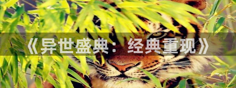 超凡国际下载app：《异世盛典：经典重现》